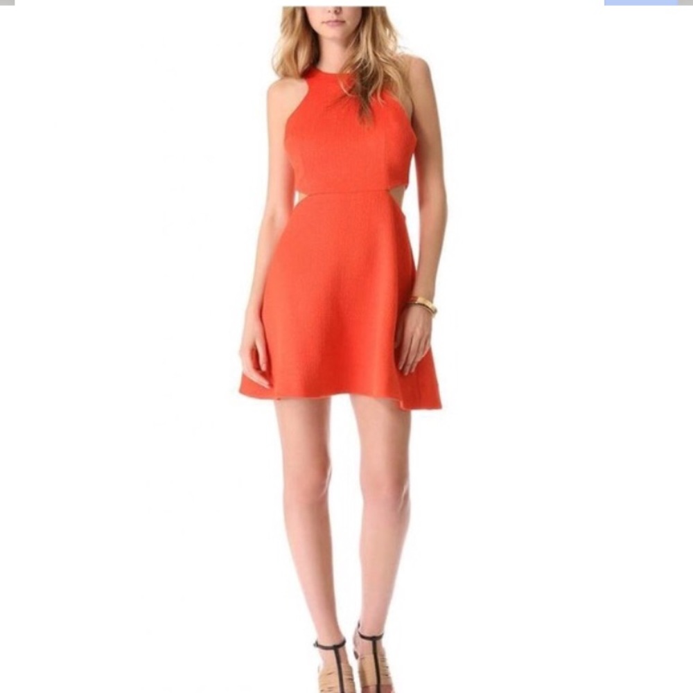 Club Monaco dress with cut outs